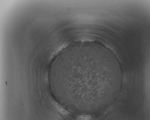 X0000077380353200610271952