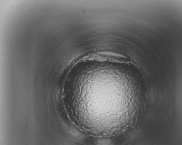 X0000077380355200610271952