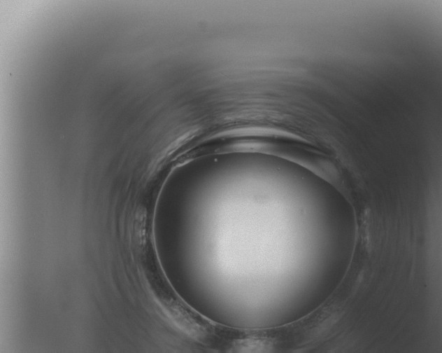 X0000077380356200610271952