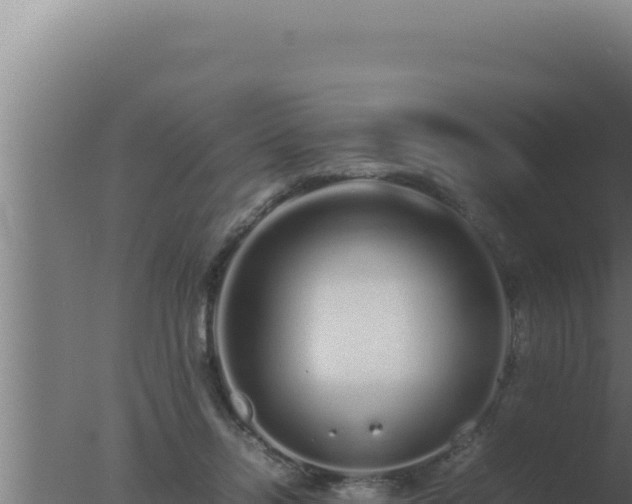 X0000077380358200610271952