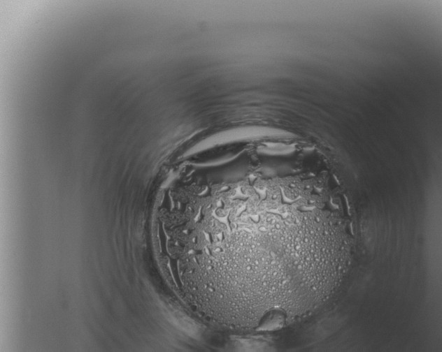 X0000077380359200610271952