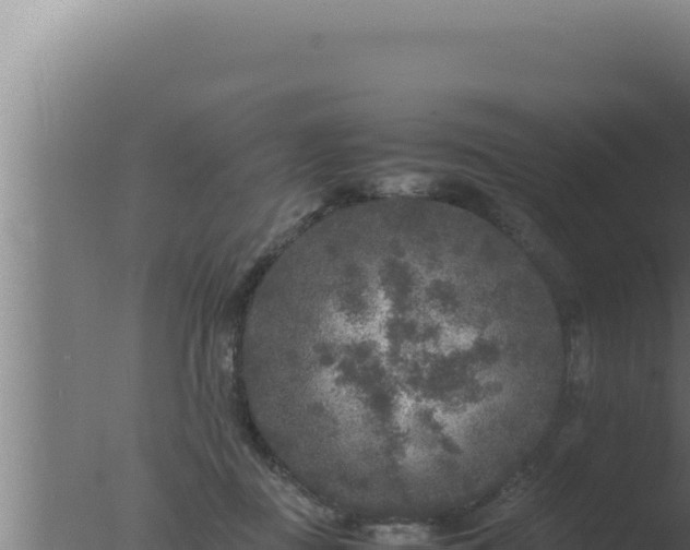 X0000077380363200610271952