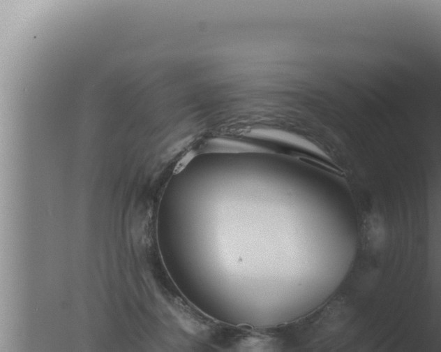 X0000077380364200610271952