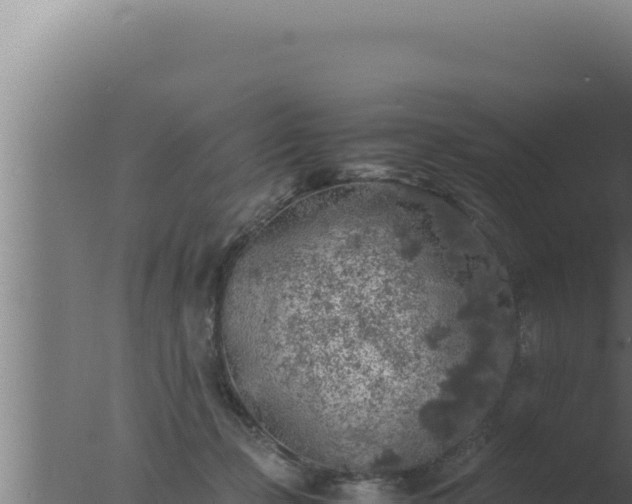 X0000077380365200610271952