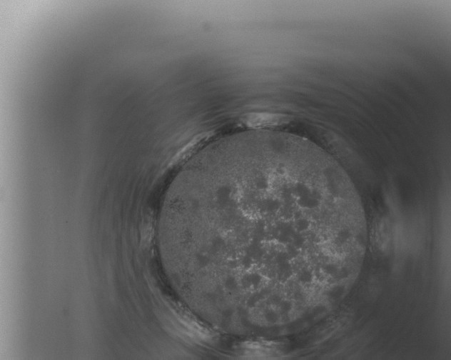 X0000077380367200610271952