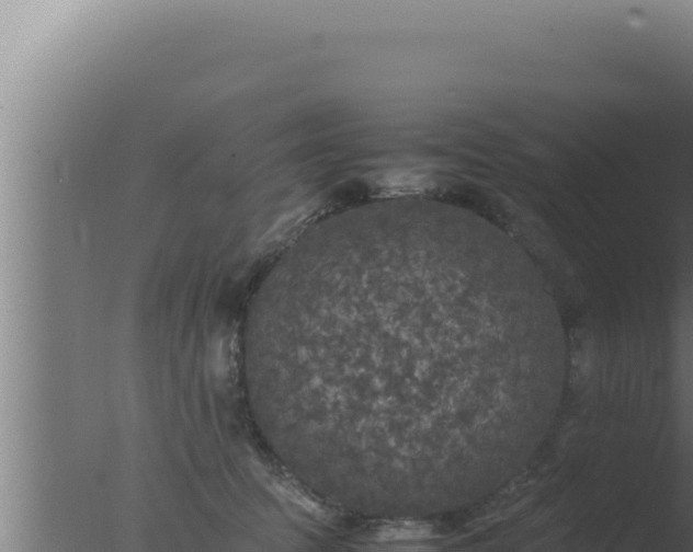 X0000077380369200610271952