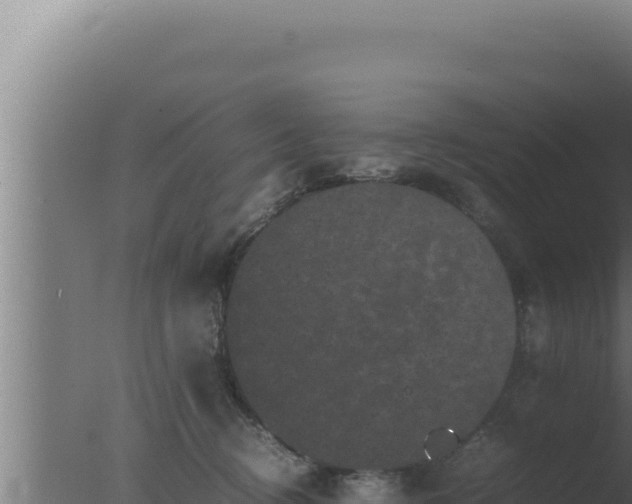 X0000077380370200610271952