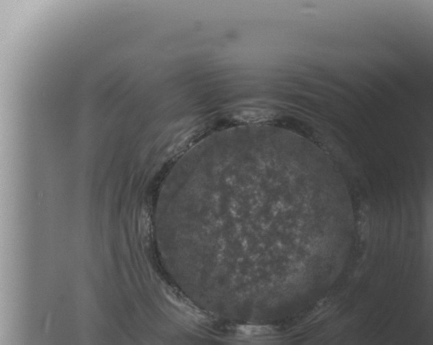 X0000077380371200610271952