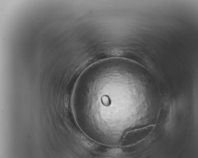 X0000077380374200610271952