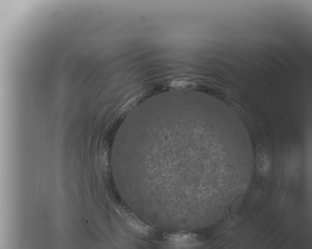 X0000077380375200610271952