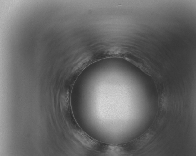 X0000077380376200610271952