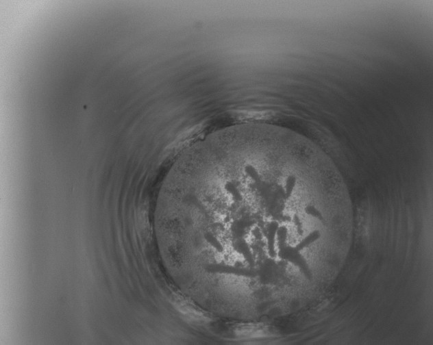 X0000077380377200610271952