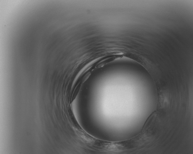 X0000077380379200610271952