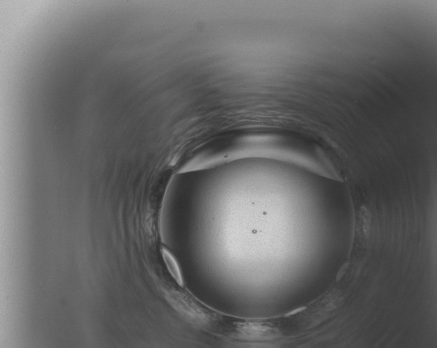 X0000077380380200610271952