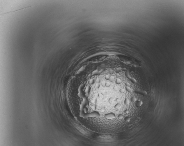 X0000077380381200610271952