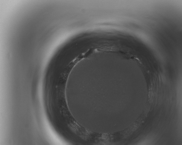 X0000077380383200610271952