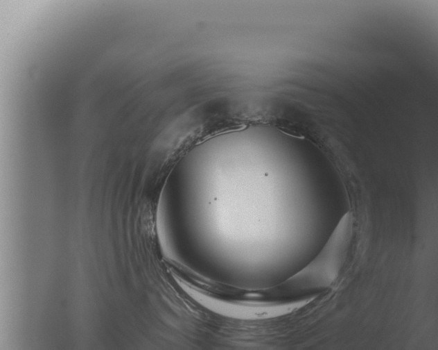 X0000077380384200610271952