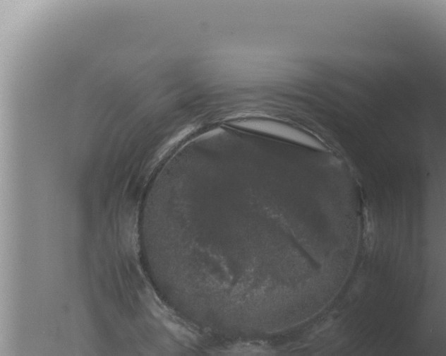 X0000077380386200610271951