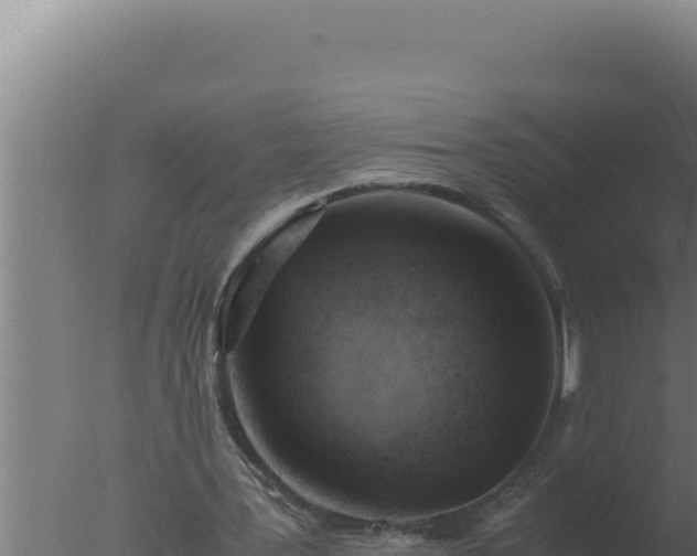 X0000077380387200610271951