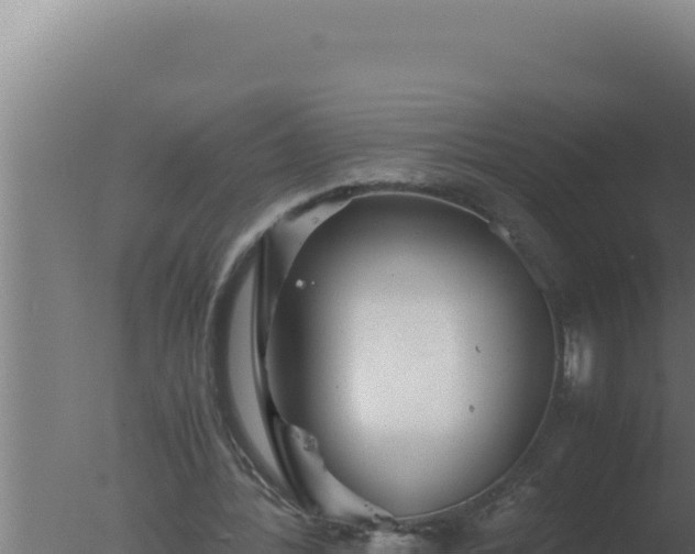 X0000077380388200610271951