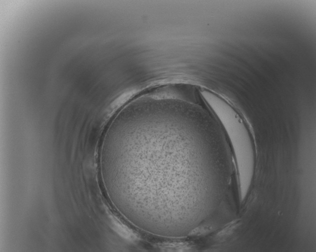 X0000077380389200610271951