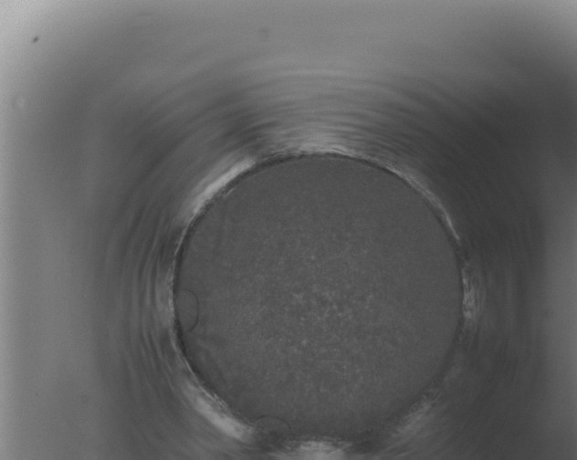 X0000077380390200610271951