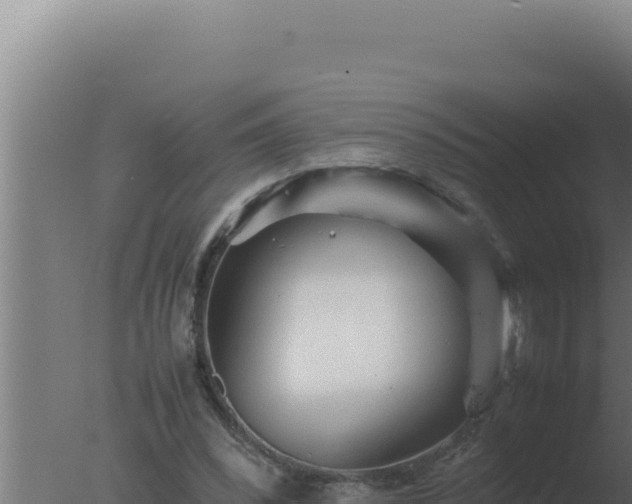 X0000077380392200610271951