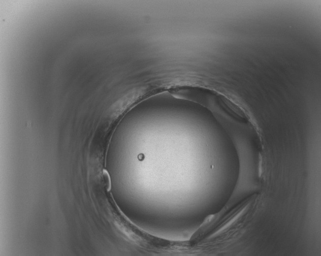 X0000077380393200610271951