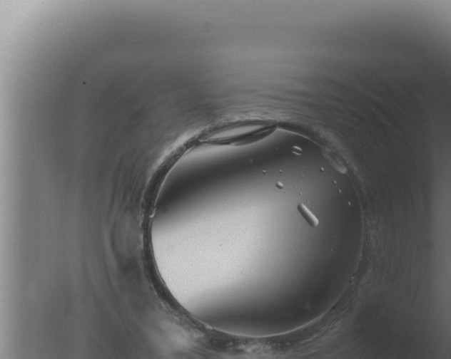 X0000077380395200610271951