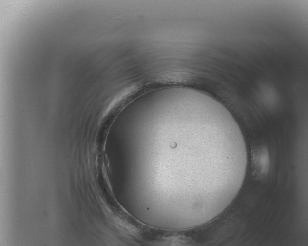 X0000077380396200610271951