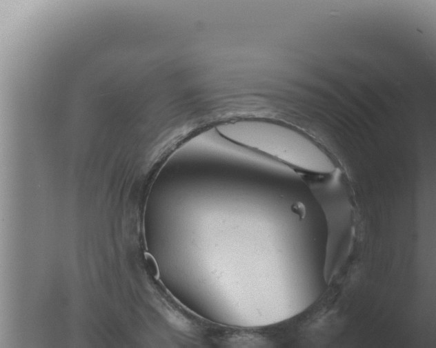 X0000077380397200610271951