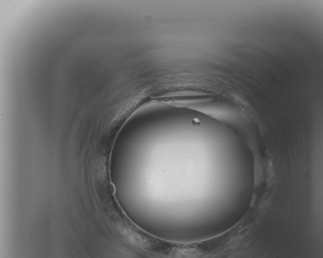 X0000077380401200610271951