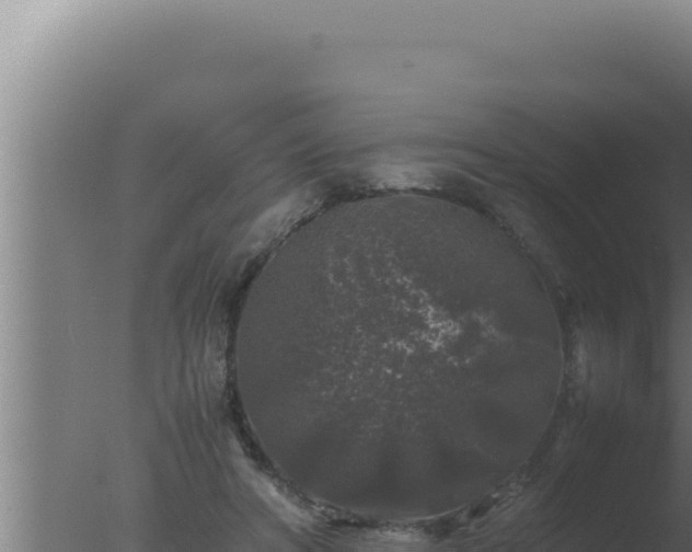 X0000077380402200610271951