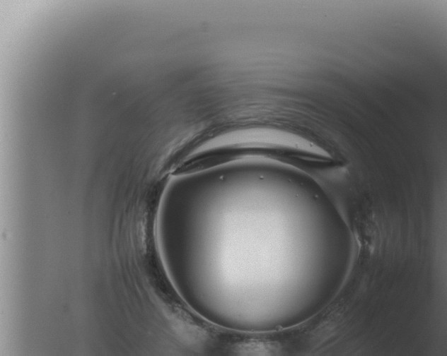 X0000077380404200610271951