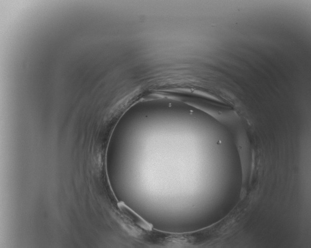 X0000077380405200610271951