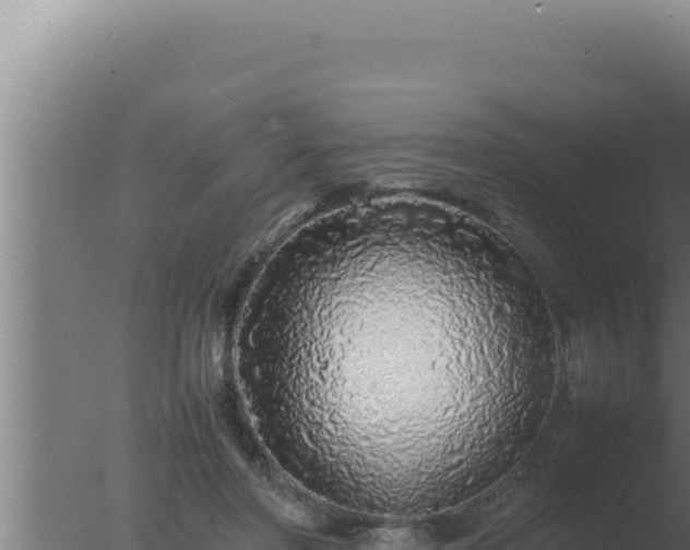 X0000077380406200610271951