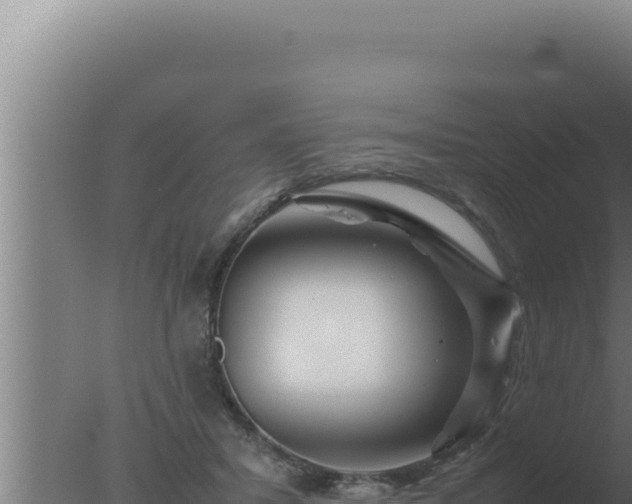 X0000077380407200610271951