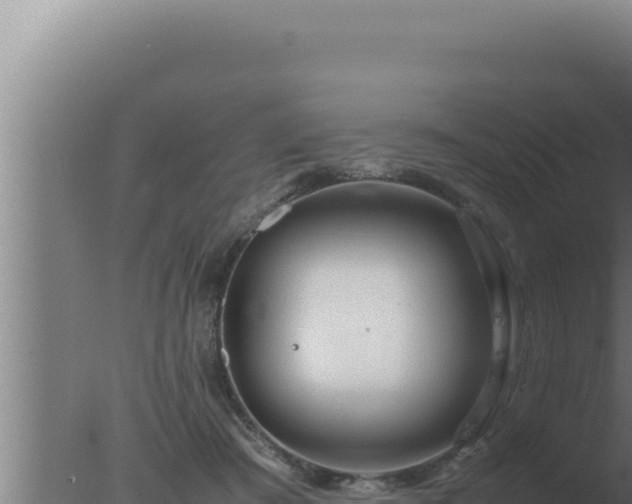 X0000077380409200610271951