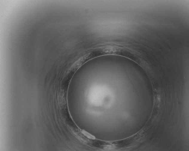 X0000077380411200610271951