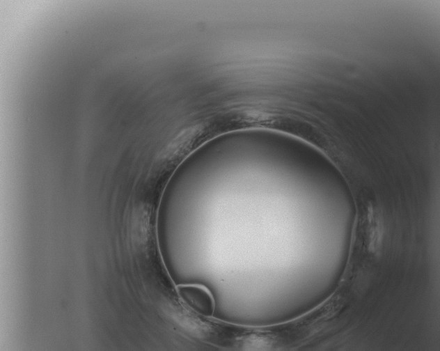 X0000077380412200610271951