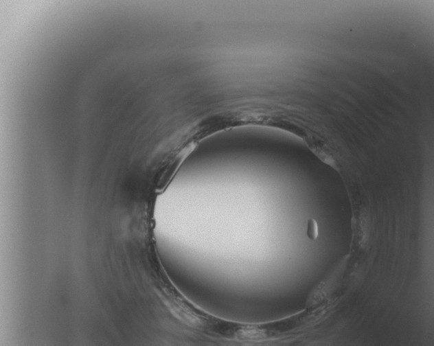 X0000077380413200610271951