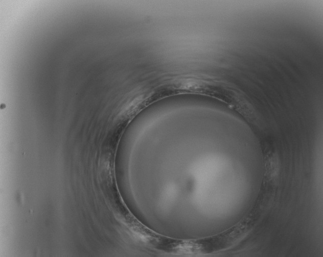 X0000077380415200610271951