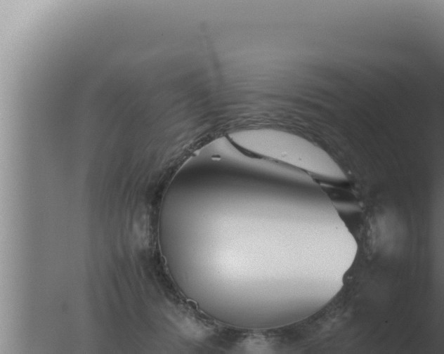 X0000077380416200610271951