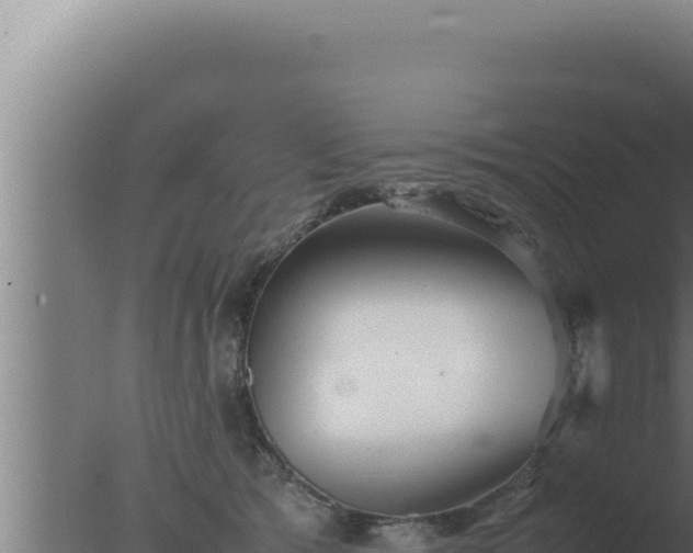 X0000077380417200610271951