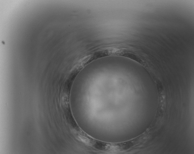 X0000077380419200610271951