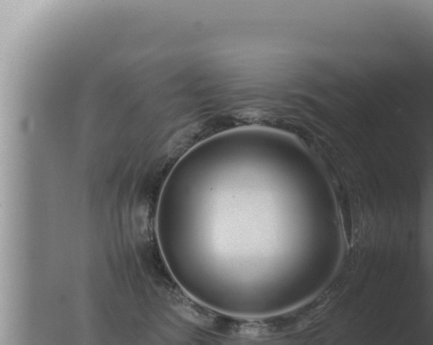 X0000077380420200610271951