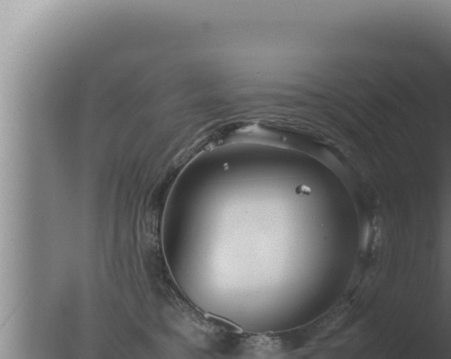 X0000077380421200610271951