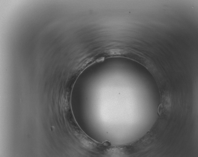 X0000077380422200610271951