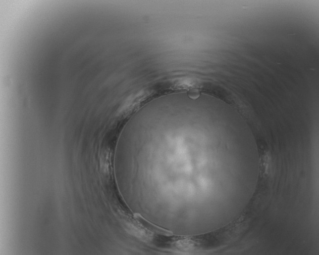 X0000077380423200610271951