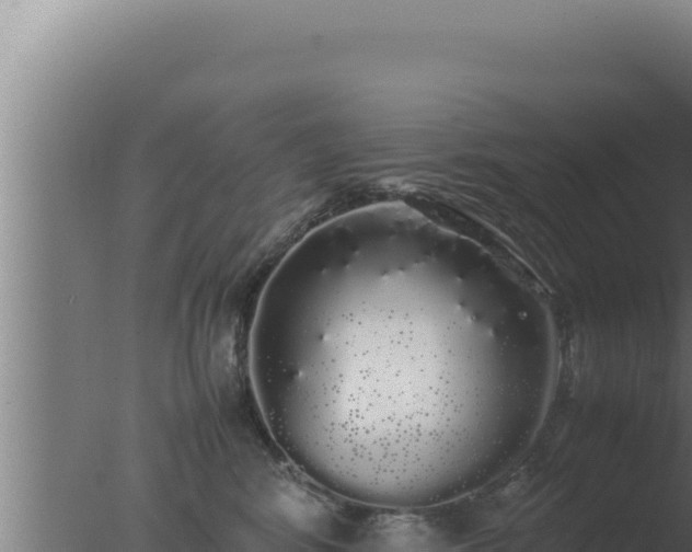 X0000077380424200610271951